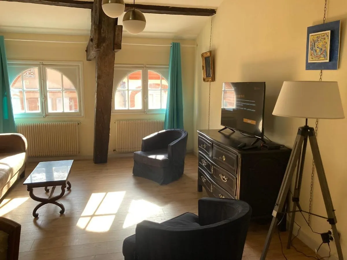 Toulouse Centre: T2 Bis Dans Immeuble Historique Apartment